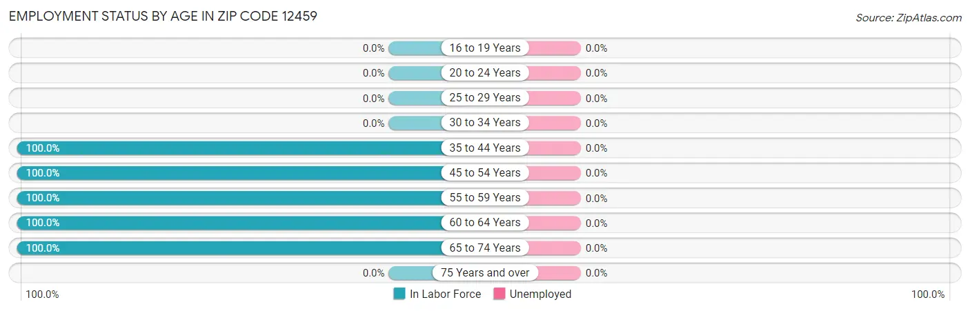 Employment Status by Age in Zip Code 12459