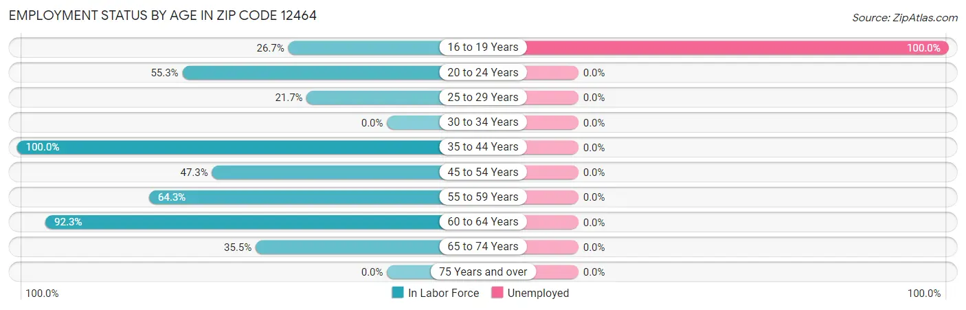 Employment Status by Age in Zip Code 12464