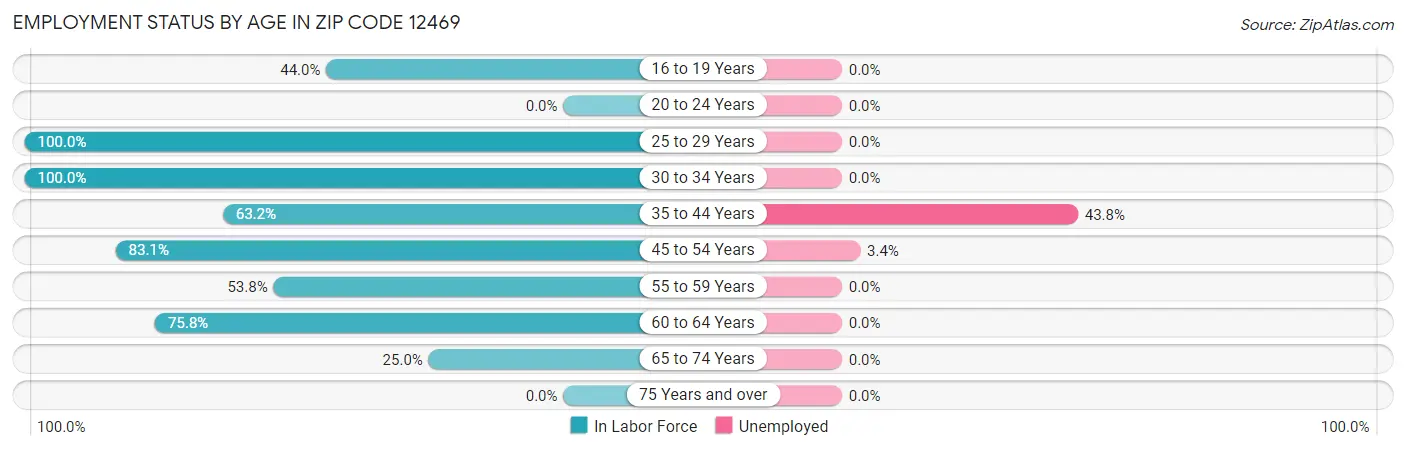 Employment Status by Age in Zip Code 12469