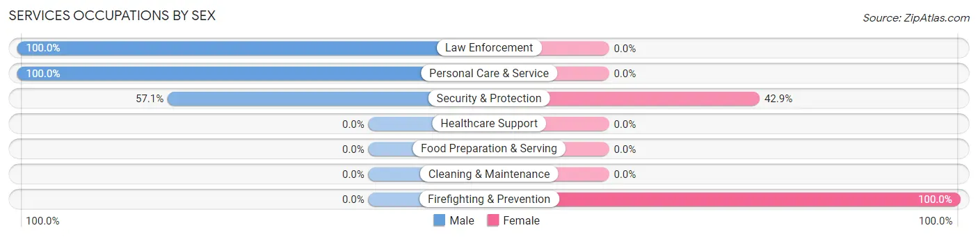 Services Occupations by Sex in Zip Code 12469