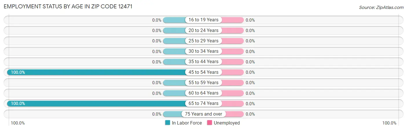 Employment Status by Age in Zip Code 12471