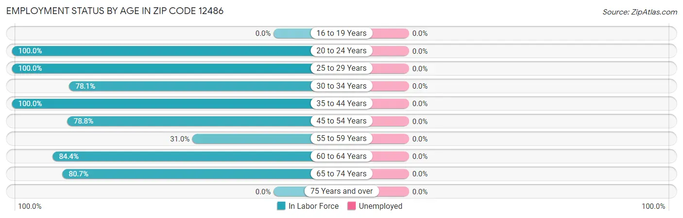 Employment Status by Age in Zip Code 12486