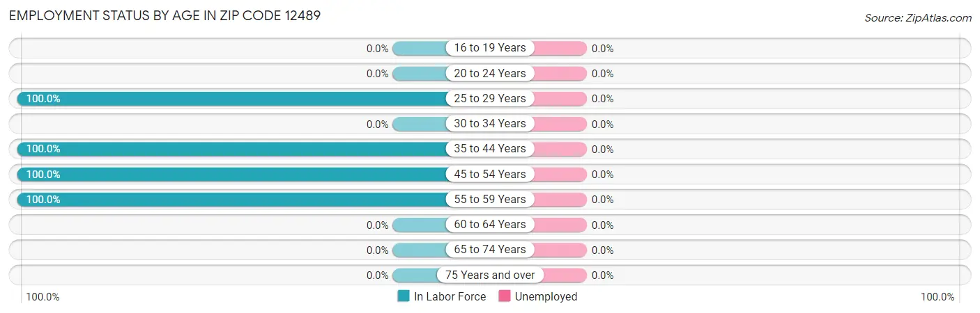 Employment Status by Age in Zip Code 12489