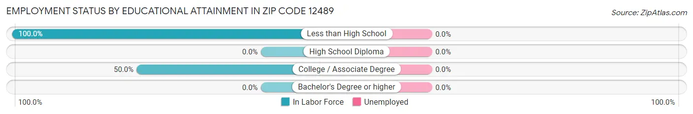 Employment Status by Educational Attainment in Zip Code 12489
