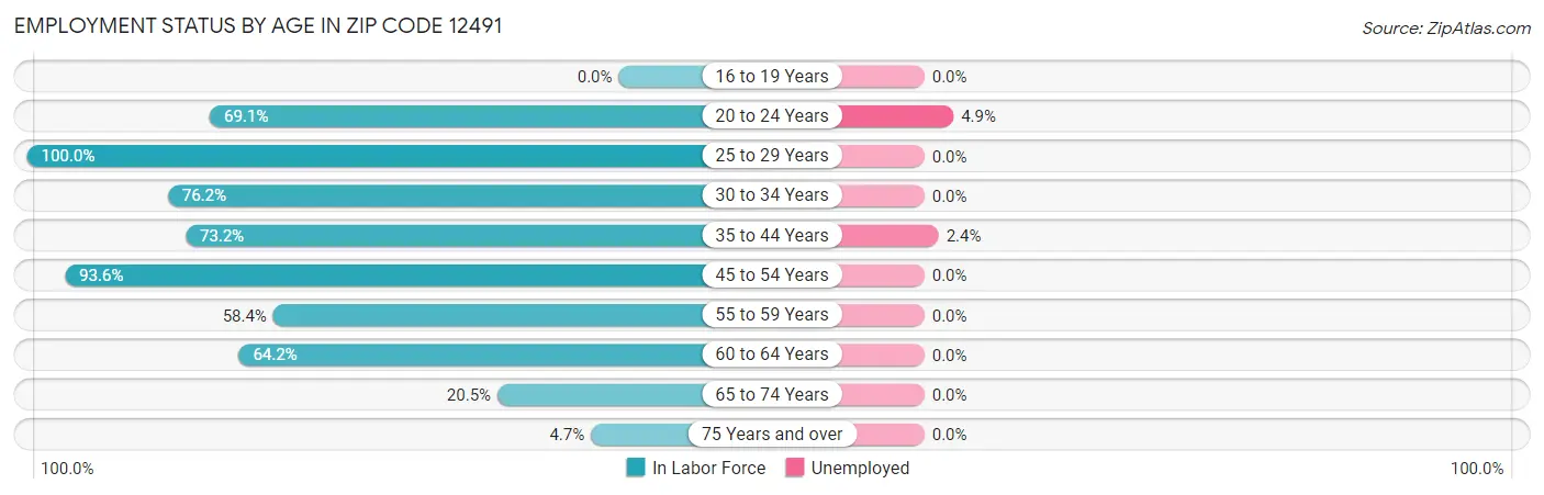Employment Status by Age in Zip Code 12491