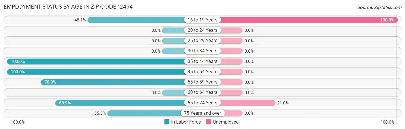 Employment Status by Age in Zip Code 12494