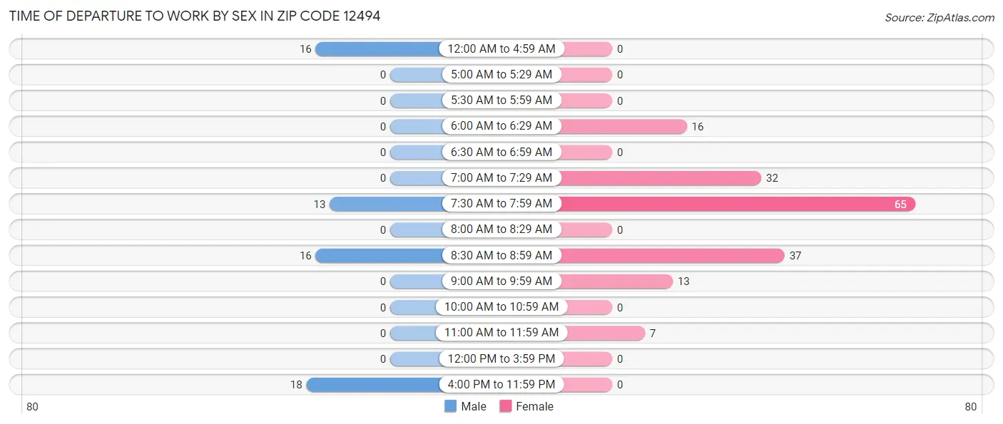 Time of Departure to Work by Sex in Zip Code 12494