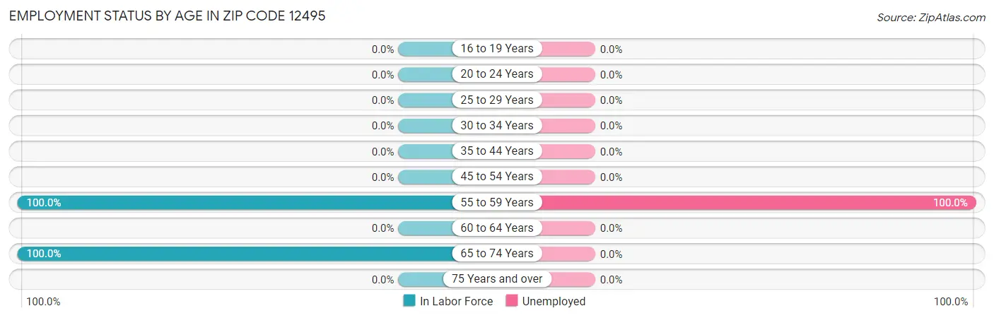 Employment Status by Age in Zip Code 12495