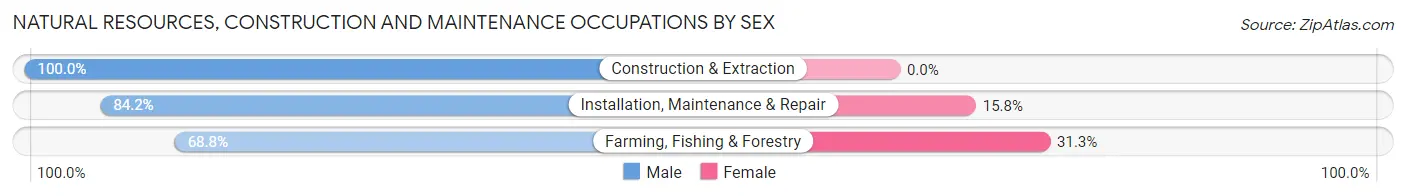 Natural Resources, Construction and Maintenance Occupations by Sex in Zip Code 12503