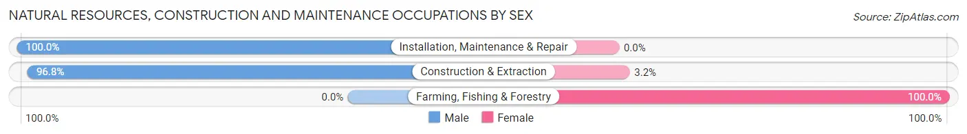 Natural Resources, Construction and Maintenance Occupations by Sex in Zip Code 12508