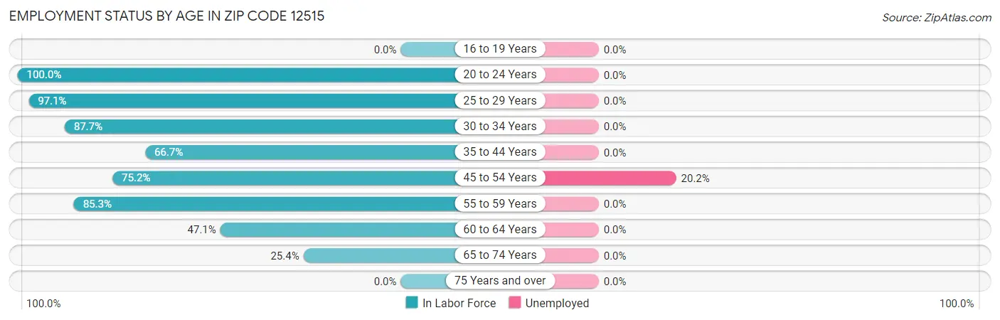 Employment Status by Age in Zip Code 12515
