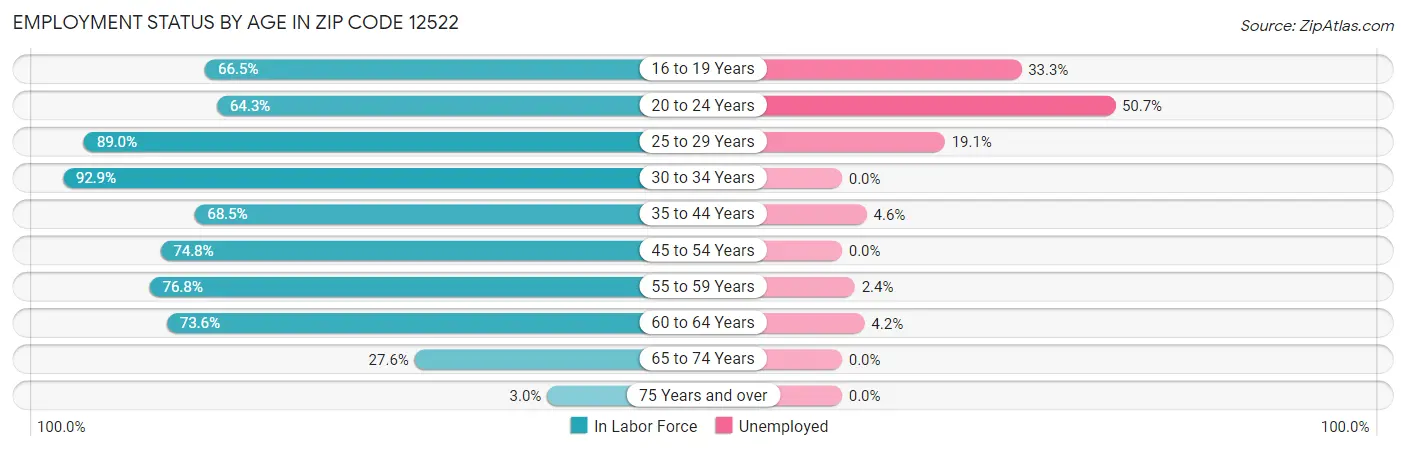 Employment Status by Age in Zip Code 12522