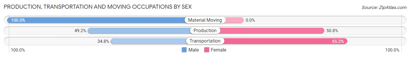 Production, Transportation and Moving Occupations by Sex in Zip Code 12522