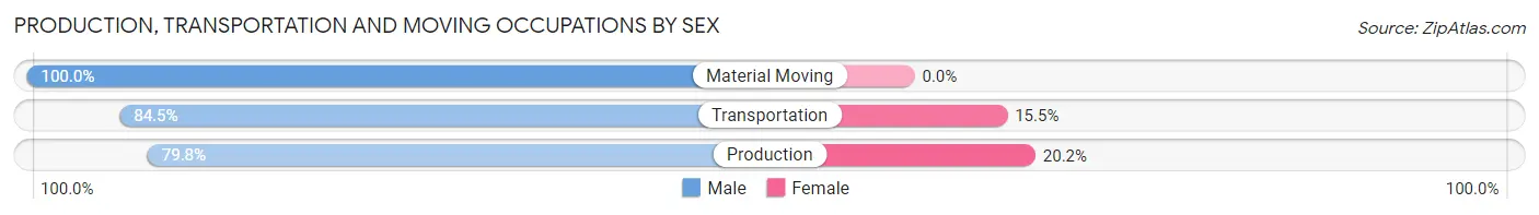 Production, Transportation and Moving Occupations by Sex in Zip Code 12524