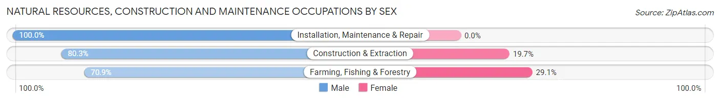 Natural Resources, Construction and Maintenance Occupations by Sex in Zip Code 12526