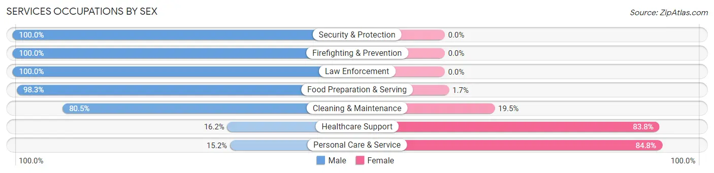 Services Occupations by Sex in Zip Code 12528