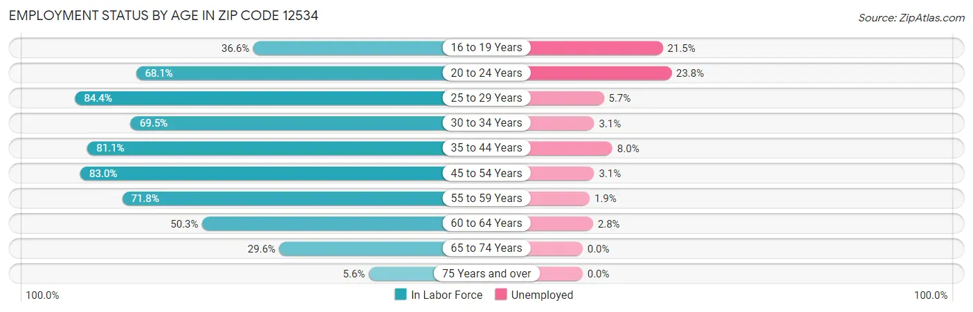 Employment Status by Age in Zip Code 12534