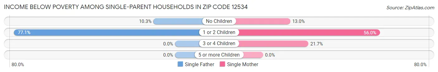 Income Below Poverty Among Single-Parent Households in Zip Code 12534