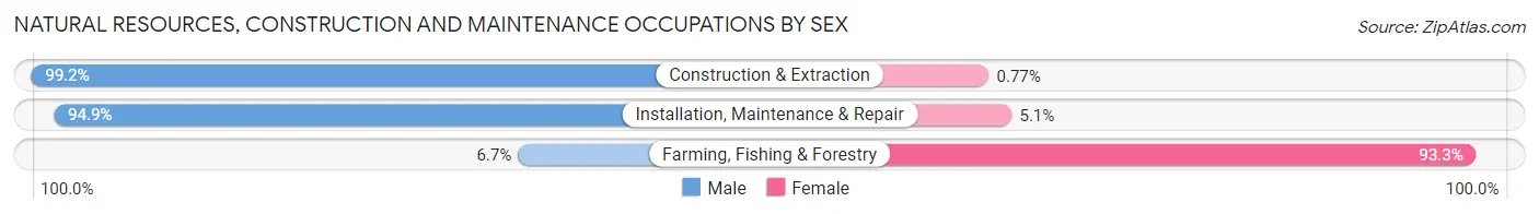 Natural Resources, Construction and Maintenance Occupations by Sex in Zip Code 12538