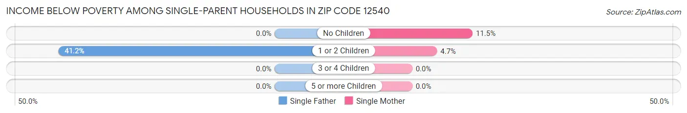 Income Below Poverty Among Single-Parent Households in Zip Code 12540