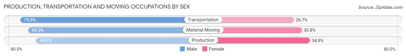 Production, Transportation and Moving Occupations by Sex in Zip Code 12540