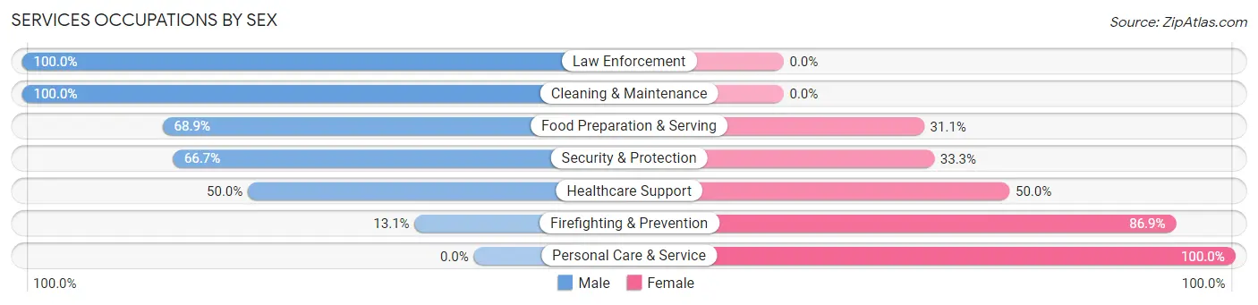 Services Occupations by Sex in Zip Code 12543
