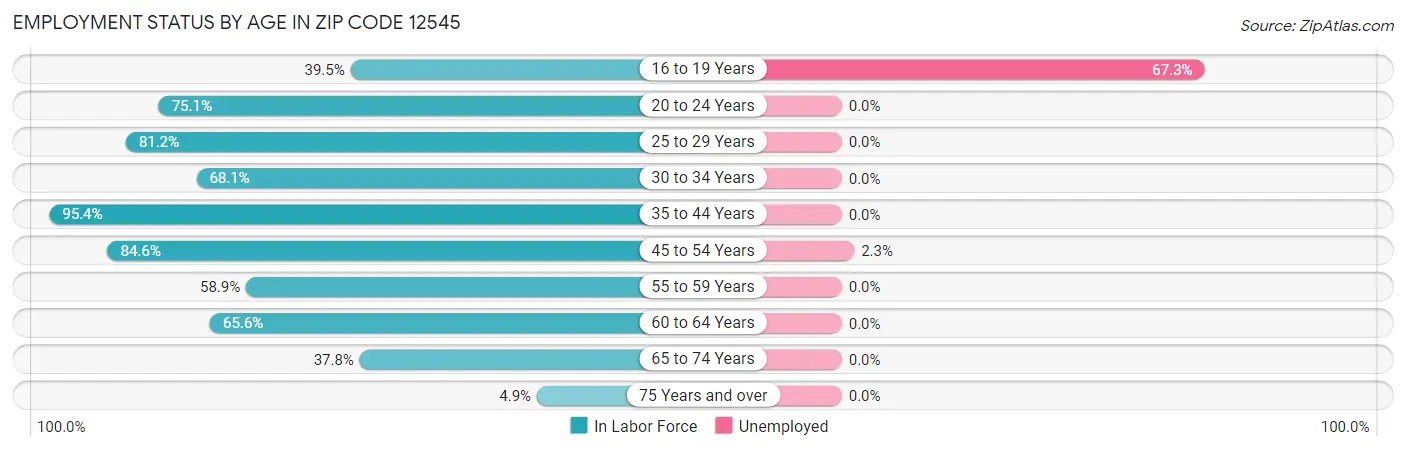 Employment Status by Age in Zip Code 12545