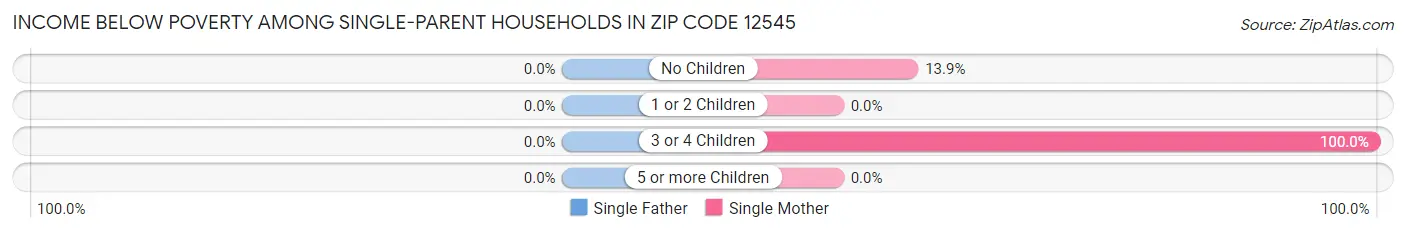 Income Below Poverty Among Single-Parent Households in Zip Code 12545