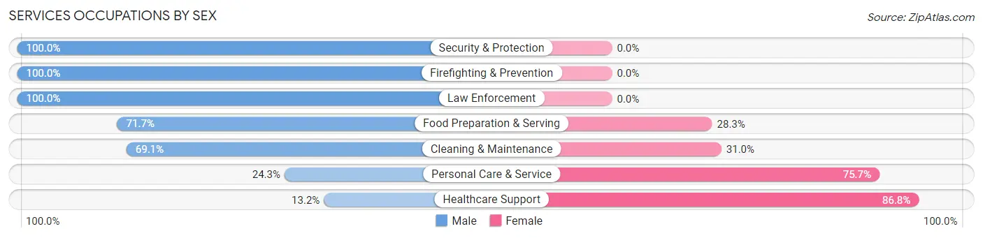 Services Occupations by Sex in Zip Code 12545