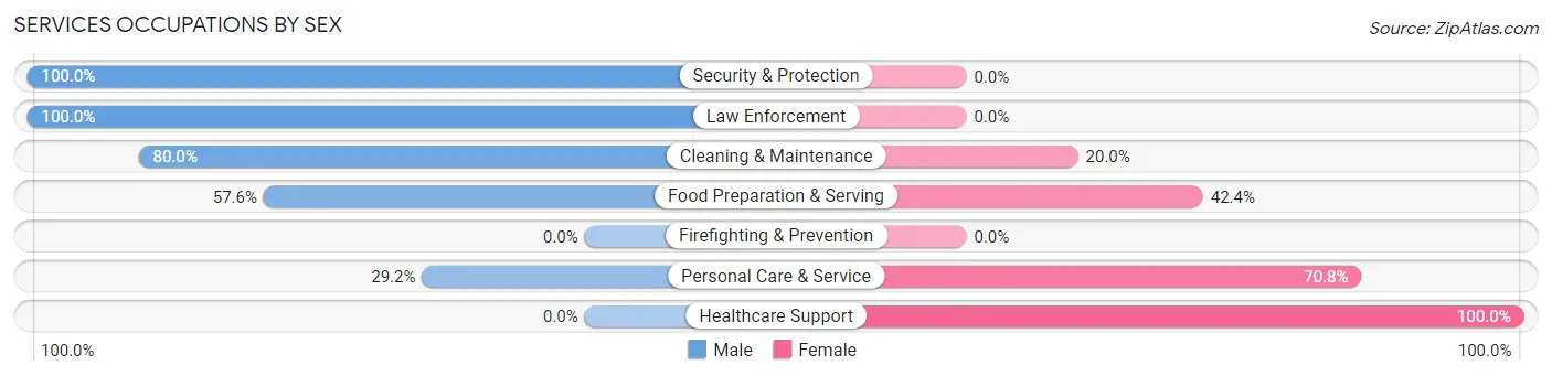 Services Occupations by Sex in Zip Code 12547