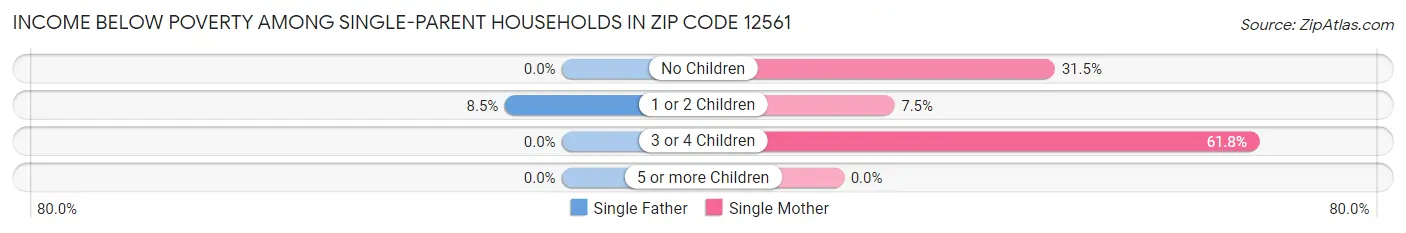 Income Below Poverty Among Single-Parent Households in Zip Code 12561
