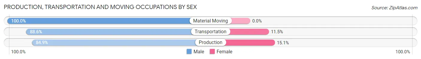 Production, Transportation and Moving Occupations by Sex in Zip Code 12563