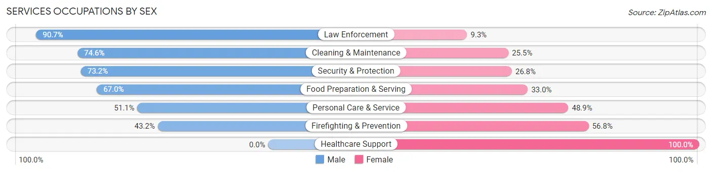 Services Occupations by Sex in Zip Code 12563
