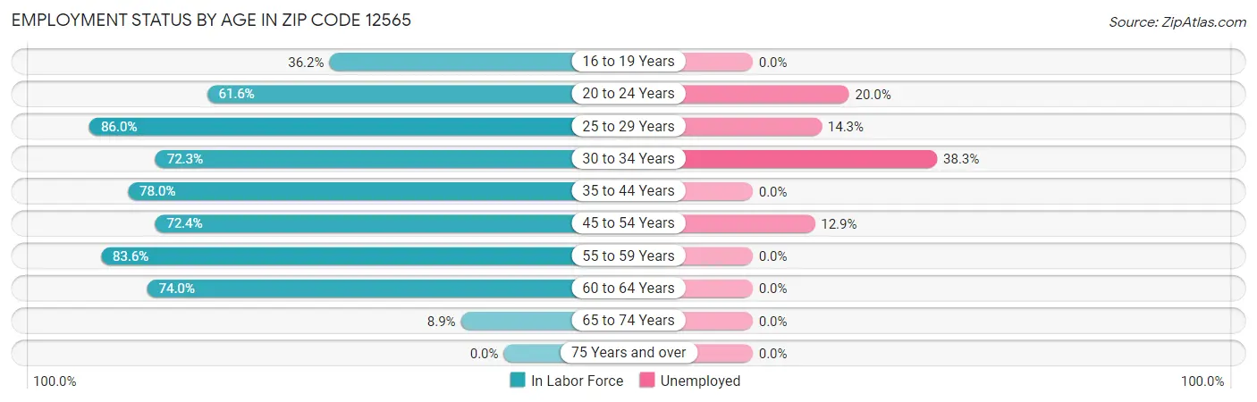 Employment Status by Age in Zip Code 12565