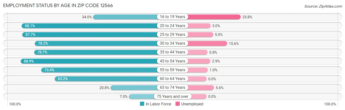 Employment Status by Age in Zip Code 12566