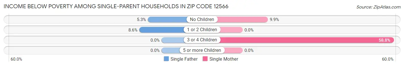 Income Below Poverty Among Single-Parent Households in Zip Code 12566