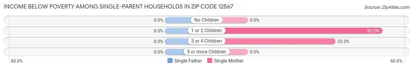 Income Below Poverty Among Single-Parent Households in Zip Code 12567