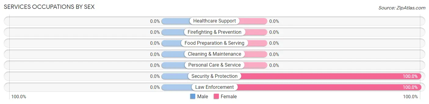 Services Occupations by Sex in Zip Code 12574