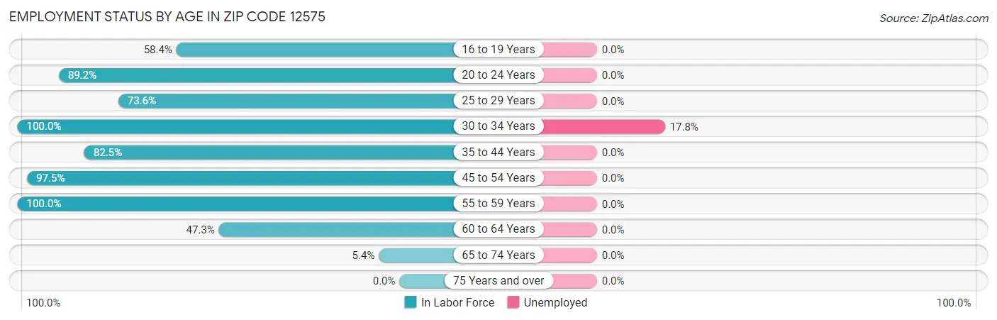 Employment Status by Age in Zip Code 12575