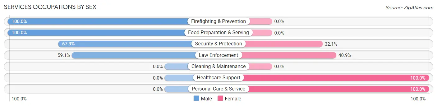 Services Occupations by Sex in Zip Code 12575