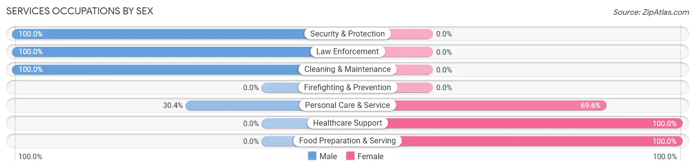 Services Occupations by Sex in Zip Code 12577