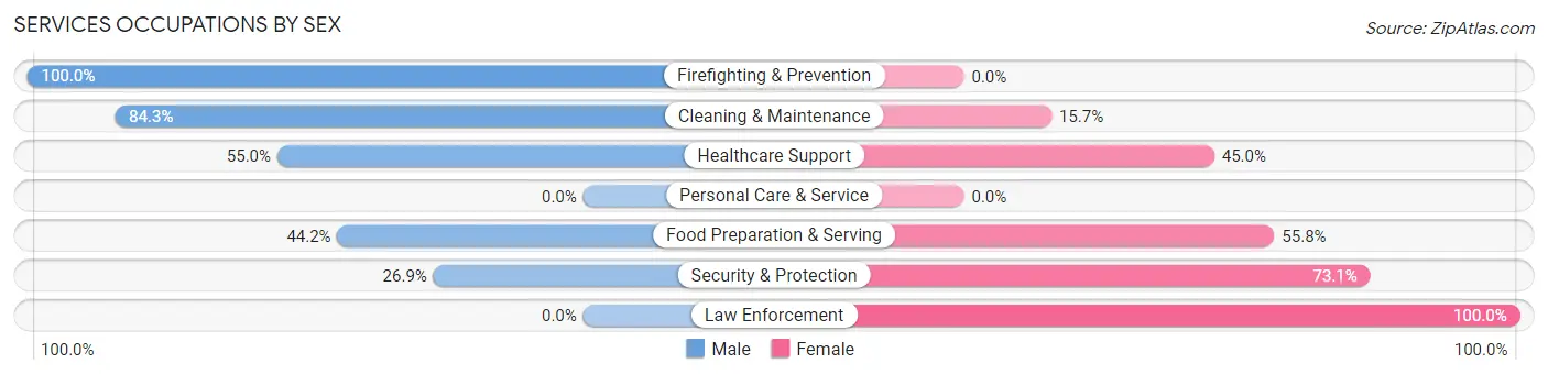 Services Occupations by Sex in Zip Code 12578