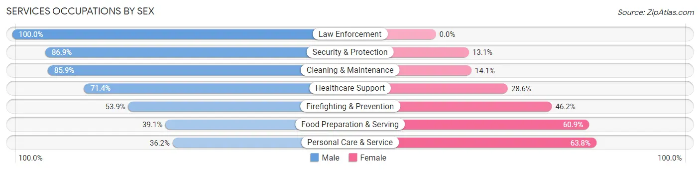 Services Occupations by Sex in Zip Code 12580