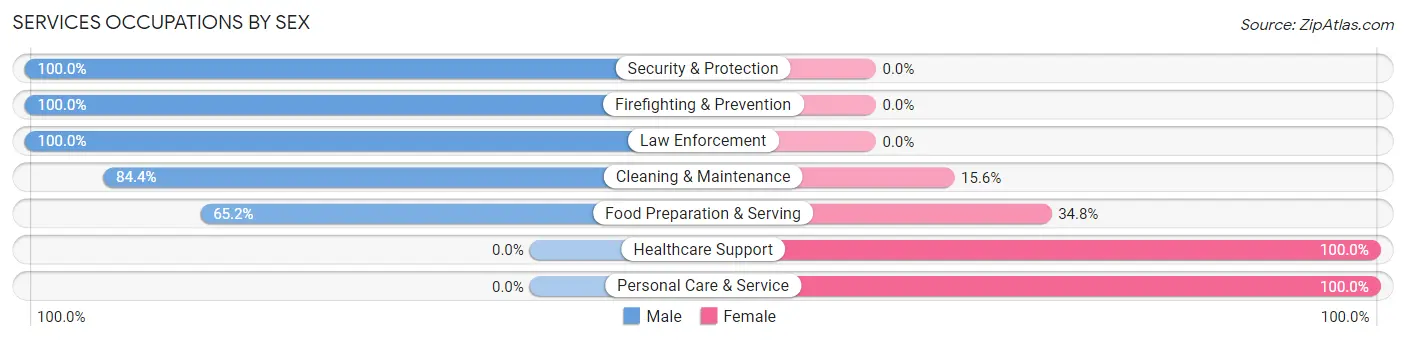 Services Occupations by Sex in Zip Code 12582
