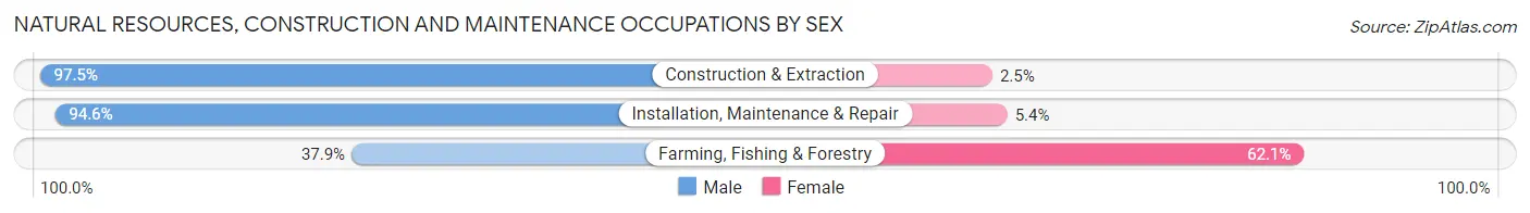 Natural Resources, Construction and Maintenance Occupations by Sex in Zip Code 12586