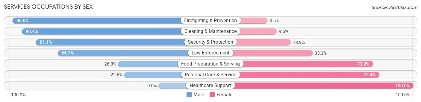 Services Occupations by Sex in Zip Code 12586