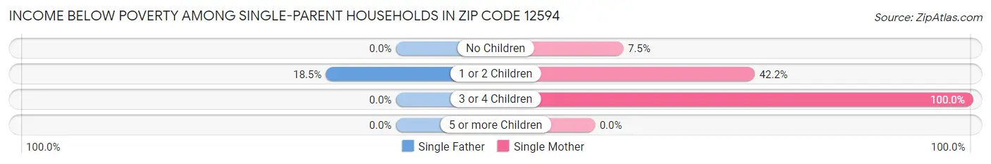 Income Below Poverty Among Single-Parent Households in Zip Code 12594