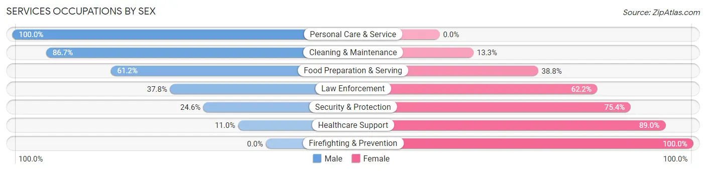 Services Occupations by Sex in Zip Code 12594