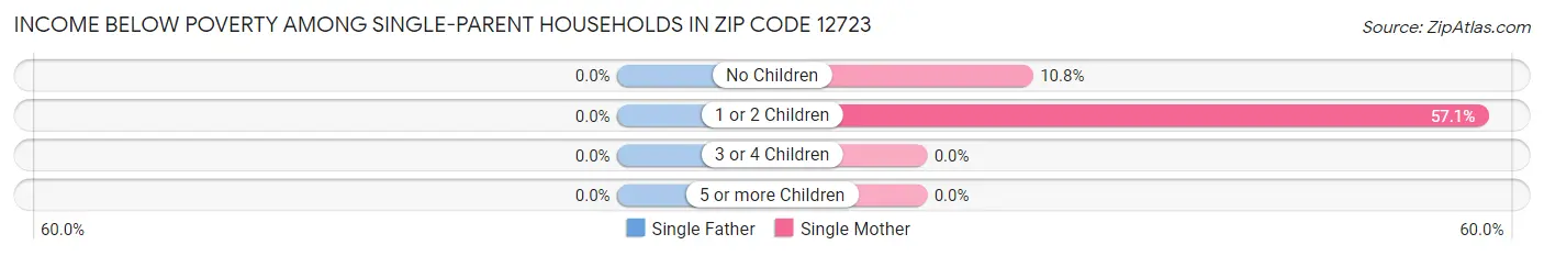 Income Below Poverty Among Single-Parent Households in Zip Code 12723