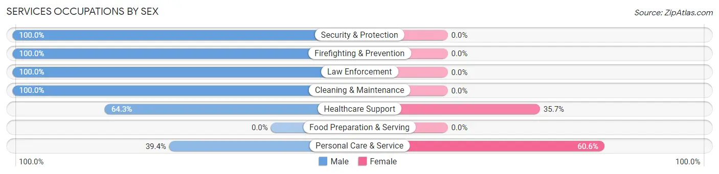 Services Occupations by Sex in Zip Code 12723
